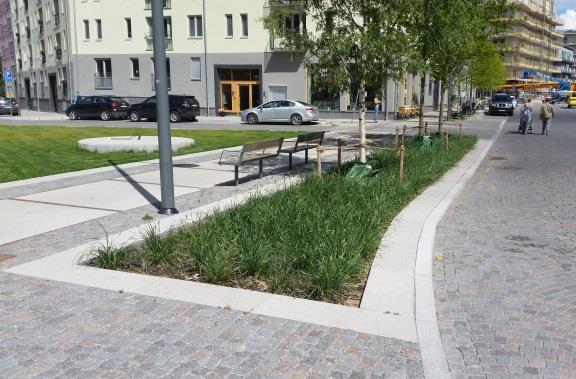 Längs gator brukar man ofta ha avlånga växtbäddar med träd där bäddarna kan vara antingen öppna eller gallertäckta.