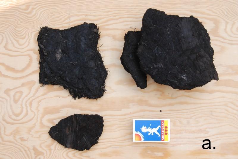 tjockare, lutande diamiktonlager och mer finsorterade, tunnare, lutande lager av sand och grus. I dessa hittades stenar och block av lokal, vittrad berggrund.