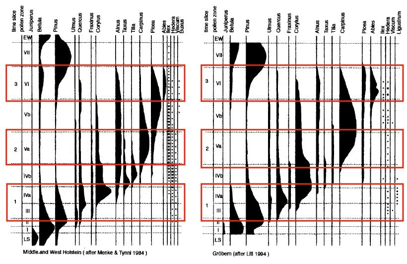 Appendix 1 Pollendiagram som visar vegetationsutvecklingen under Eem i nordvästra Europa från lokalerna Middle- and West Holstein och Gröbern.