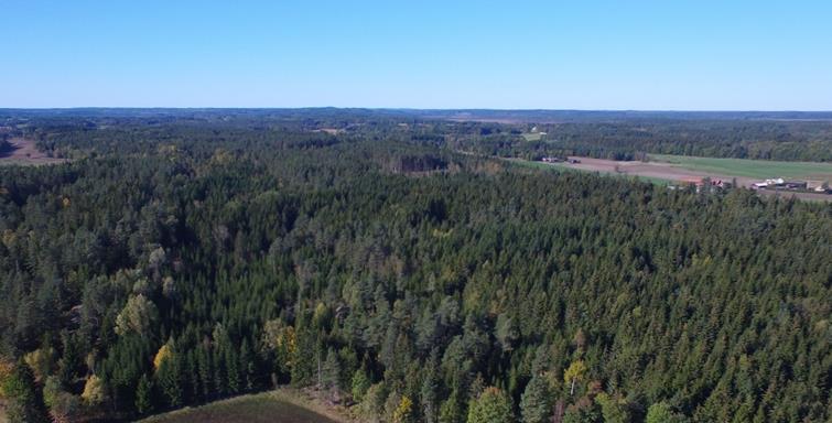 Vägplan samrådshandling val av lokaliseringsalternativ 2017-09-11 4.4.4. Landskapstyper I berört område finns tre huvudsakliga landskapstyper, se karta Landskap figur 4.4.5:1.