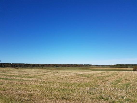 Vägplan samrådshandling, val av lokaliseringsalternativ 2017-09-11 Område 4: Öppen slätt kring Nossan Området utgör ett storskaligt landskapsrum som är mycket flackt och ger långa utblickar.