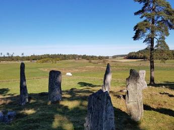 På Lundskullen förekommer högar, domarringar och ett stort antal höga resta stenar.