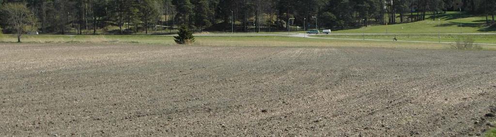 Grönområdet som större delen av planområdet utgörs av, det vill säga Hammarparken, ligger i en brant sluttning ned mot Ekebydalen.