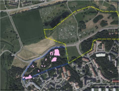 Kungsfågel, som är rödlistad 4, skulle möjligen kunna häcka inom planområdet (område 24 i naturvårdsinventeringen, se ovan) eftersom den flerskiktade skogen här kan vara lämplig och den inte har krav