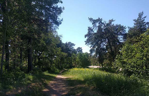Allmän områdesbeskrivning Området är obebyggt och utgörs till stor del av parkmark med naturkaraktär.
