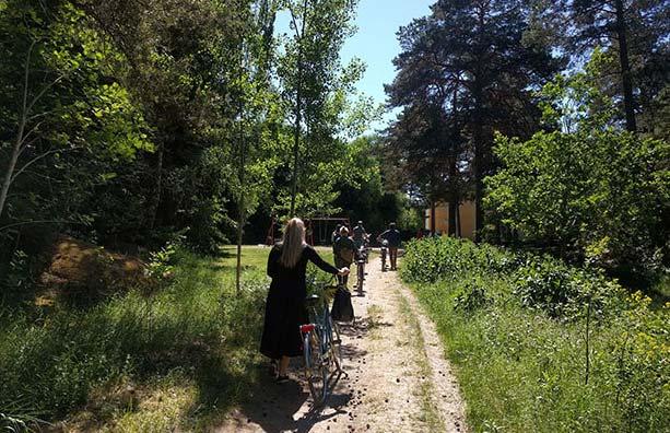 bostadsbebyggelsen längs Gnejsvägen.