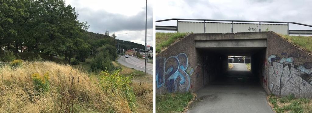 Enligt uppgift om ytvattenflöden vid 100-års regn från Jönköpings kommun finns det ett primärt ytvattenflöde som går från planområdets norra sida till det sydvästra hörnet.