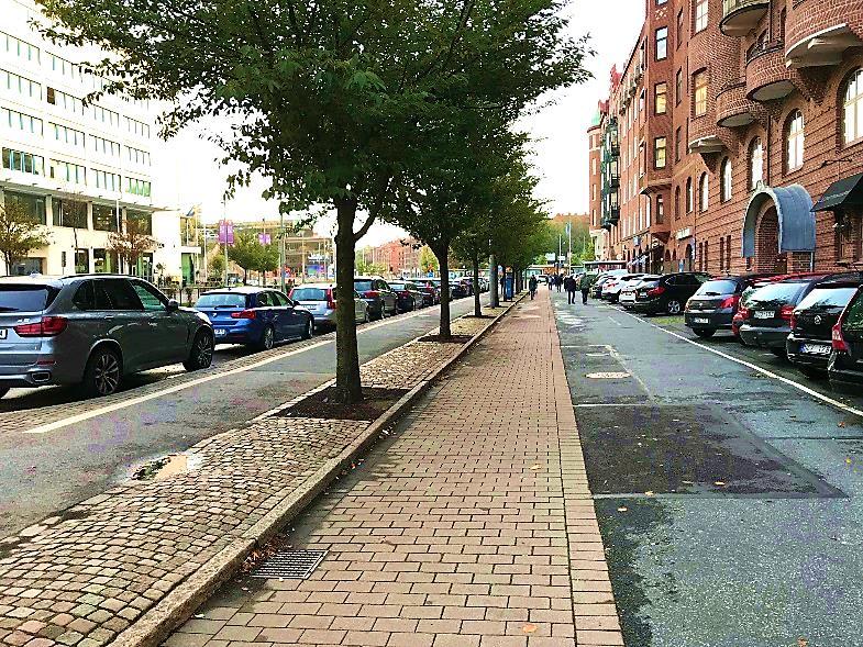 Mellan trädplantering och omgivning kan ett rotgenomsläppligt material användas för inte rötternas utbredning ska hindras (ex kokosduk).