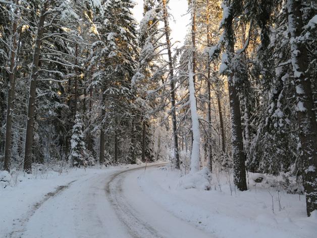 Offerdagar Annandag jul den 26 december kl. 11.00 Offer för mission i andra länder. Söndagen den 24 februari kl. 11.00 Församlingens offerdag.