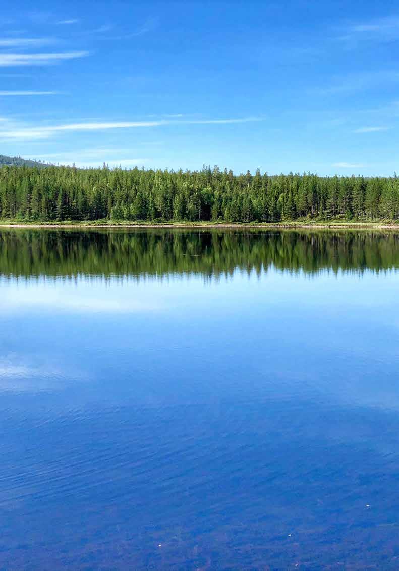 Kollektiv Olycksfallsförsäkring
