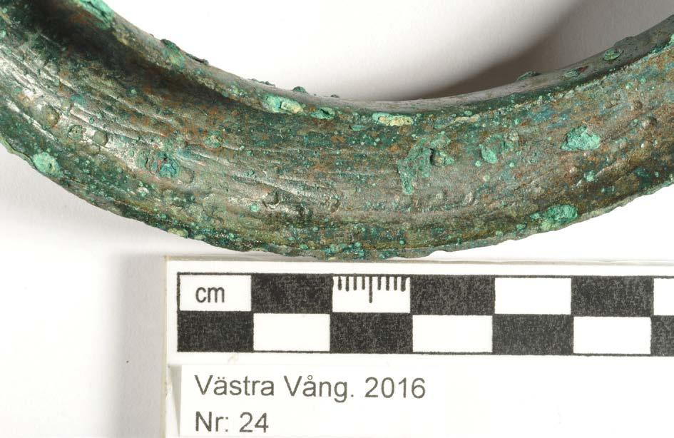 Ringens insida har tydliga