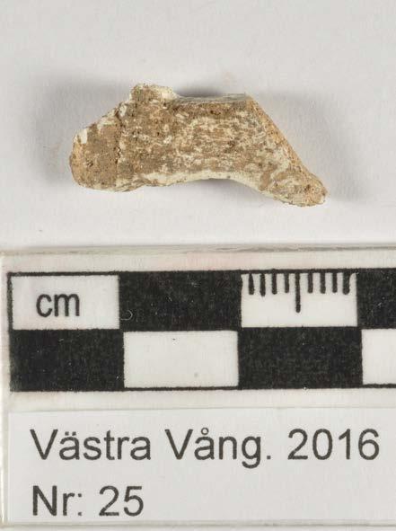 Ort/Anläggning: Västra Vång 2016, Kullen Fynd nr: Kons nr: 25 Kontaktperson: Mikael Henriksson, Blekinge Museum Datum in: 2016-05-22 Datum ut: