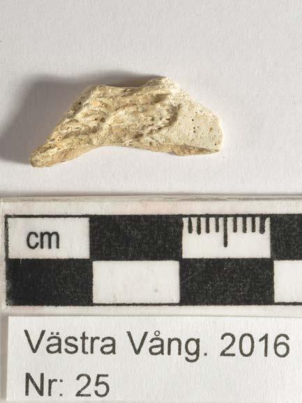 Fragmentet