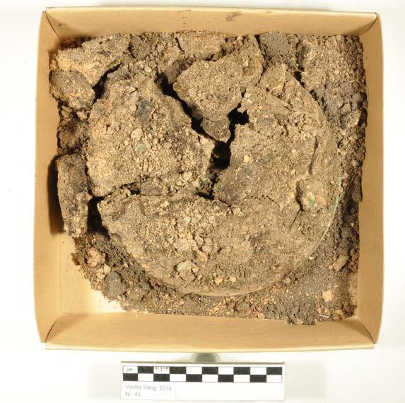 Ort/Anläggning: Västra Vång 2016, Kullen Fynd nr: Kons nr: 45 Kontaktperson: Mikael Henriksson, Blekinge Museum Datum in: 2016-05-22 Datum ut: 2017-01-09 Föremål: Ring, nedre i preparat Material: