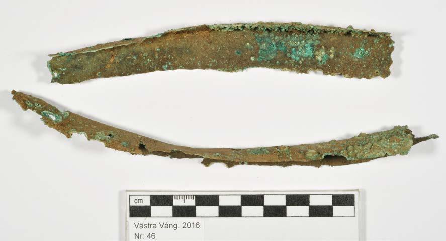 Massan :A undersöks och några insektsfragment (:B) samt frön (:C) omhändertas och placeras i märkt provrör.