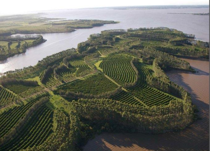 Agroforestry mångfunktionell