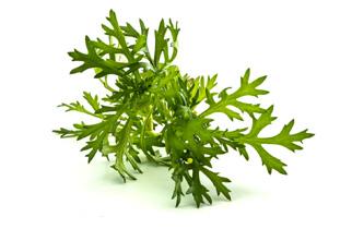 OptiCap TM är en patron som innehåller naturligt socker och tillsatser som vitaminer.