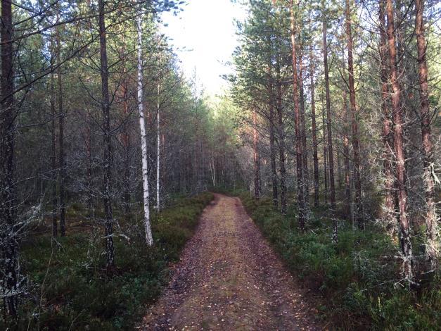 Belägenhet Heden 111:1 omfattar två obebyggda skogsmarksskiften. Ett hemskifte i Heden och ett utskogsskifte efter Mickelbäcksvägen. Se översiktskarta skala 1:50 000 och skogskarta i skala 1:5 000.