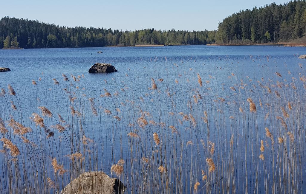 Enligt skogsbruksplanen är tillväxten 115 m³sk/år. Jakt- och fiskerätt.