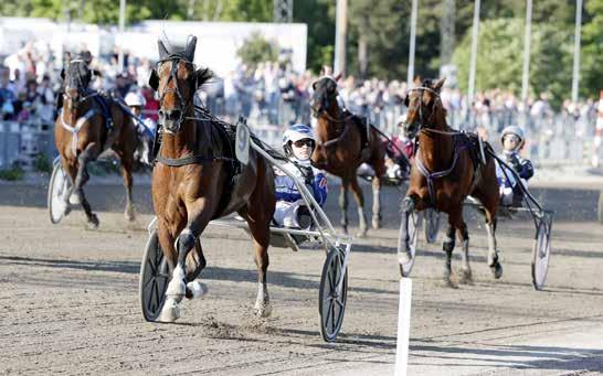 GRUPP MITT I GRÖTEN Lag: ollnäs, Gävle, Hagmyren, Romme och Rättvik Ponnykampen presenteras av Agria är en barn och