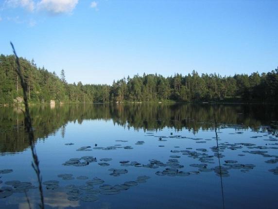Miljökvalitetsmålet: Bara naturlig försurning Lite resultat från FU19 Salar Valinia