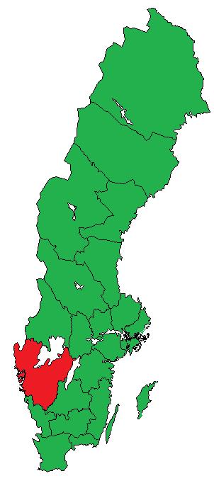 Journalinformation barn- och ungdom Alla regioner förutom Västra Götaland visar journalinformation från hälso-