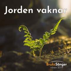 Körkraft arrangerar fortbildning för körledare och körer som jobbar med, eller är intresserade av integration, mångkultur och språkkörer.