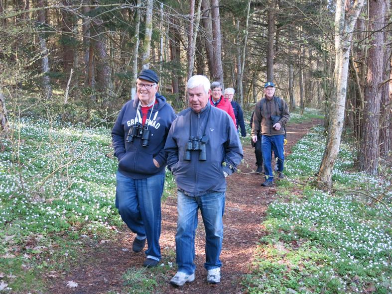 PRO Tanum Verksamhetsberättelse 2016 5 (8) --- Vårpromenaden vid Ejgdetjärn --- Den 5 maj var det dags för ännu en promenad, denna gång ihop med både gökotta och fågelskådning.
