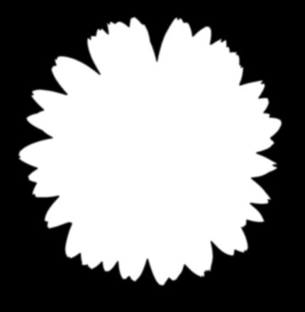 Bibeln som du