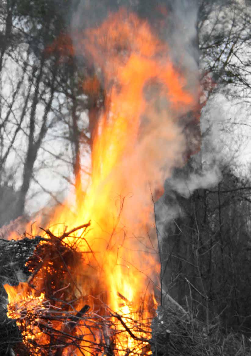 VALBORG I BRICKEBACKEN Saxonparken Start 18.00 Vårtal 19.00, Sven-Åke Collin Kör ca 19.15 Brasan tänds ca 19.