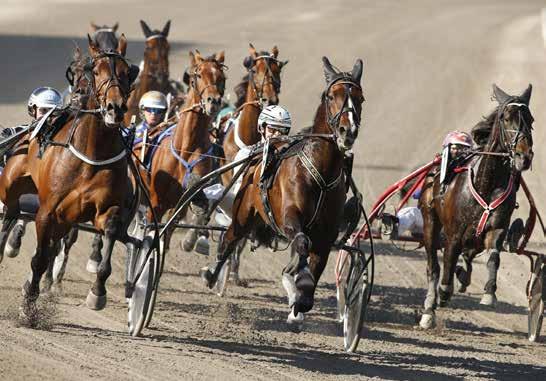 Defilering: 8: TRIO TVILLING VINNARE PLATS SOLVALLA // 0 Stolopp 0 M VOLTSTART -åriga och äldre ston högst 60.000 kr. Körsvenskrav kat.. 0 m. Tillägg 0 m vid vunna 0.00 kr. Pris: 0.000-0.000-.000-7.