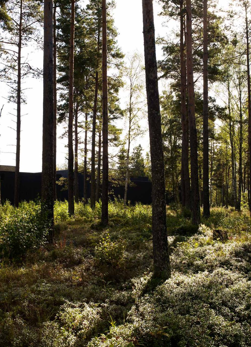 Made in Småland Swedese är förankrat i Smålands anrika möbeltradition och jobbar med traditionellt hantverk i nytappning.