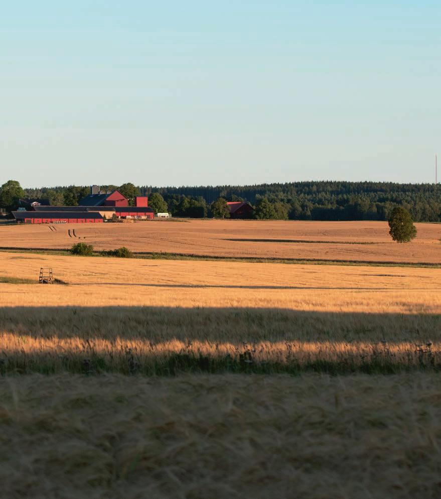 Långsiktigt