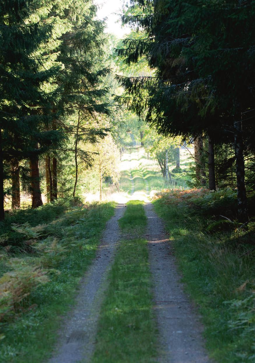 9 9