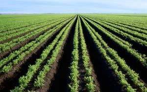 Landwirtschaftliche Cloud Agrarindustrie gestalten Statusvisualisierung des Hofes und der