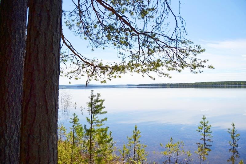 Sandviksjön AXELÅS - JÄMTLAND Axelås 1:42 Föllinge socken