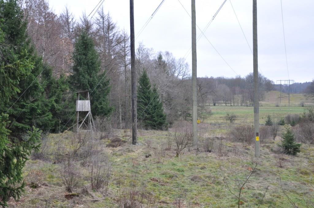 Hörby Södra Rörum 9:15 Skog Fastigheten består av 15 ha produktiv skogsmark bestående av 94 % gran enligt nyupprättad skogsbruksplan.