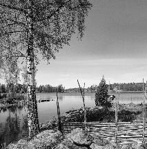 DENNA SIDA ÄR EN ANNONS FRÅN TRANÅS ENERGI Visskvarn vattenkraftverk Olstorp vattenkraftverk Västra Lägern Östra Lägern Forsnäs vattenkraftverk Oppeby kvarn Bulsjöån På väg mot fria vattenvägar i