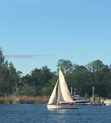 Upptäckarscoutavdelningen Sjöbusarna Under året har vi som vanligt lärt mer om att hantera kniv, yxa samt såg och övat på att göra upp eld och laga mat med inriktning på att ta matmärke 2.