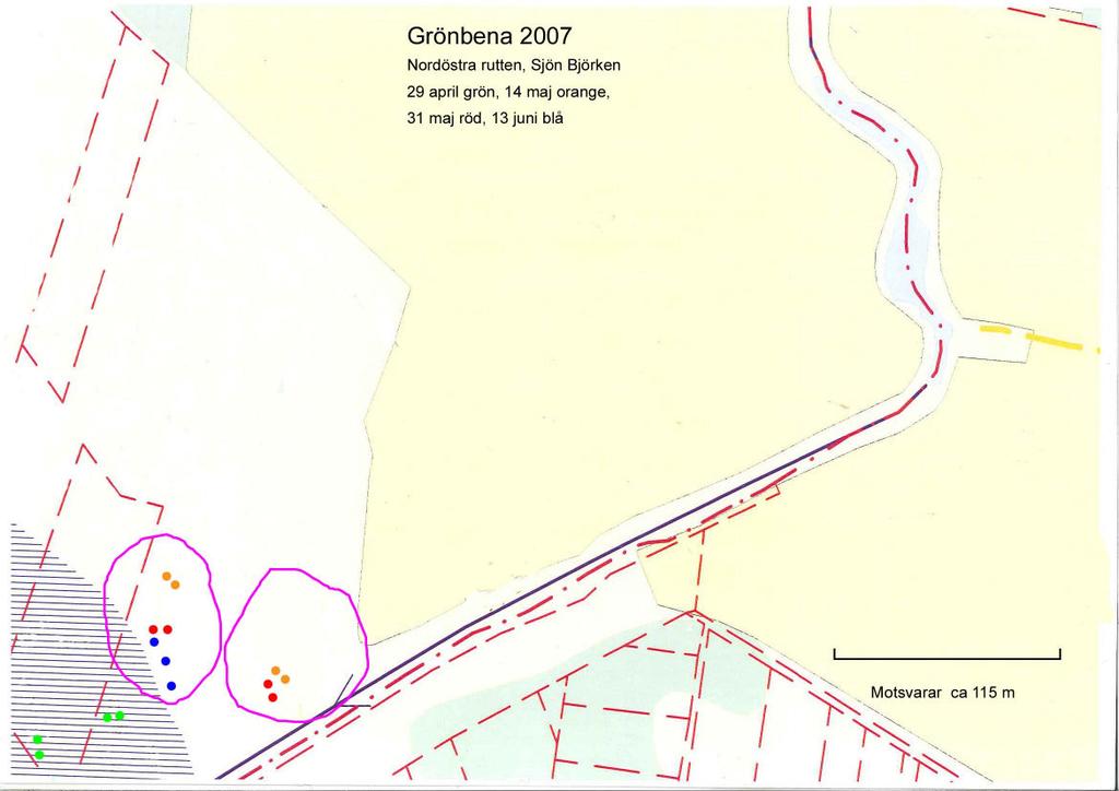 Grönbena