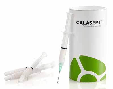 786721-24 Directa Calasept RO/SDS Provisorisk