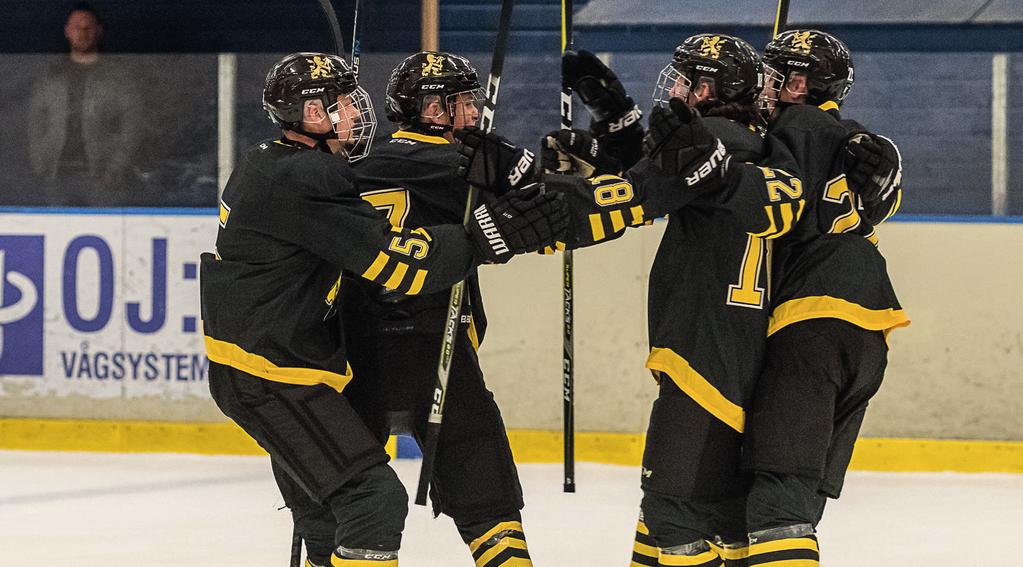 VISION, MÅL OCH STATEGIER AIK Ishockey skall åter bli en ledande svensk klubb.
