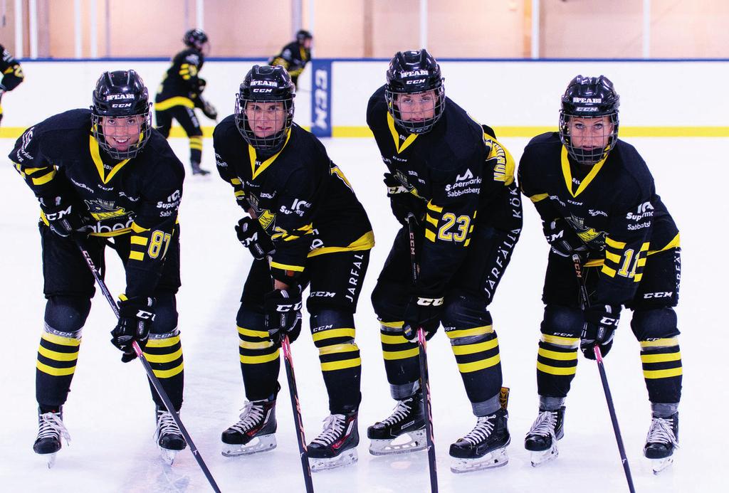 Vi skall erbjuda ett produktprogram som tilltalar den breda publiken samt företagskunder. AIK Ishockey skall närma sig underhållningsindustrin i form av organisation, arrangemang och produktutbud.