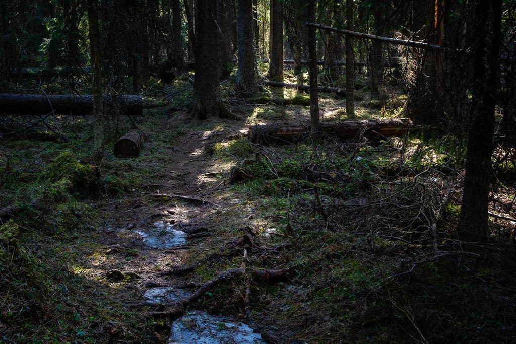 Torvalla Urskog Ett stenkast från Torvalla Centrum ligger