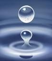 Ekosystem * Ekosystem definition: * An ecosystem is a large community of living organisms in a particular area.