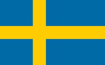 Att inte befinna sig där bollen är, utan där den kommer att vara Hjärnboll en bok av hjärnforskarna Torbjörn Vestberg