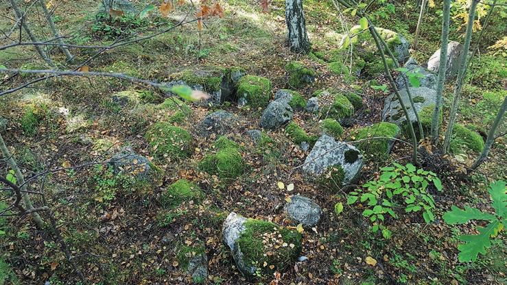 Stenig utmark i Brandthovda Figur 8. Den stenlagda husgrunden A266. Foto från nordöst av Leif Karlenby.