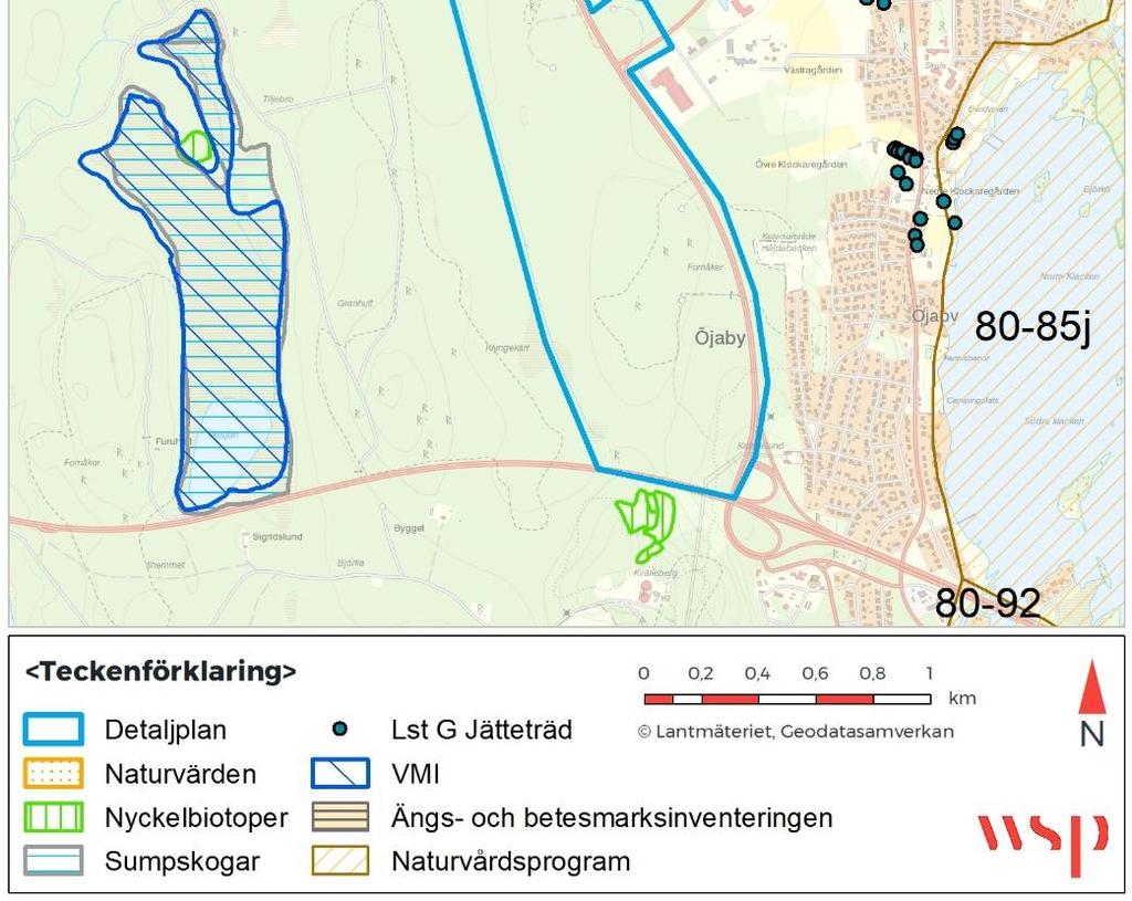Från området finns dessutom få rapporterade förekomster av ovanliga eller rödlistade arter, se Figur 5.