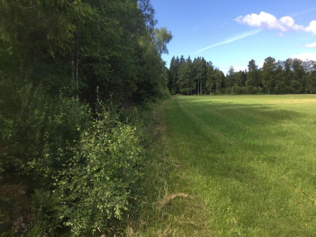 visst, bl.a. då en fridlyst art förekommer och artrikedomen är högre än motsvarande miljöer i landskapet.