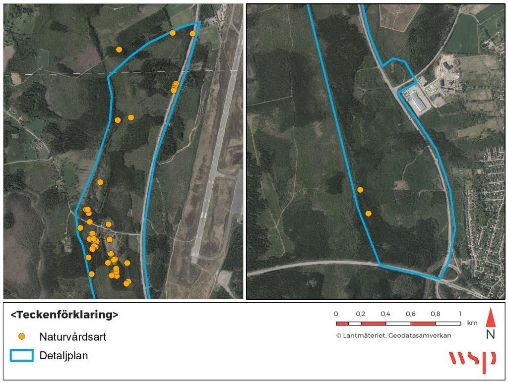 Flera arter fåglar noterades, dock vanliga arter: svartmes, rödhake, bofink, trädpiplärka, nötskrika, talgoxe, gärdsmyg, kungsfågel, grönsiska, ringduva, ärtsångare och nötväcka.